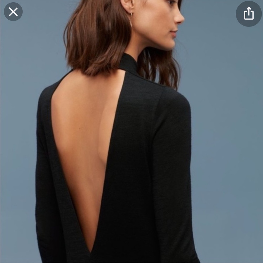 Wilfred Free Moulton dress from Aritzia